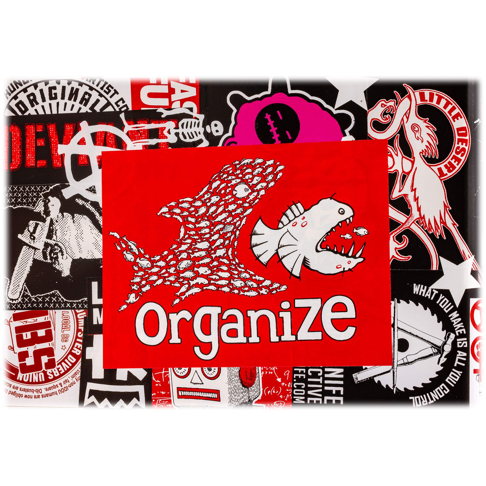 Bumper sticker, Organize 5.5 x 4.25 inches, Free USA Shipping