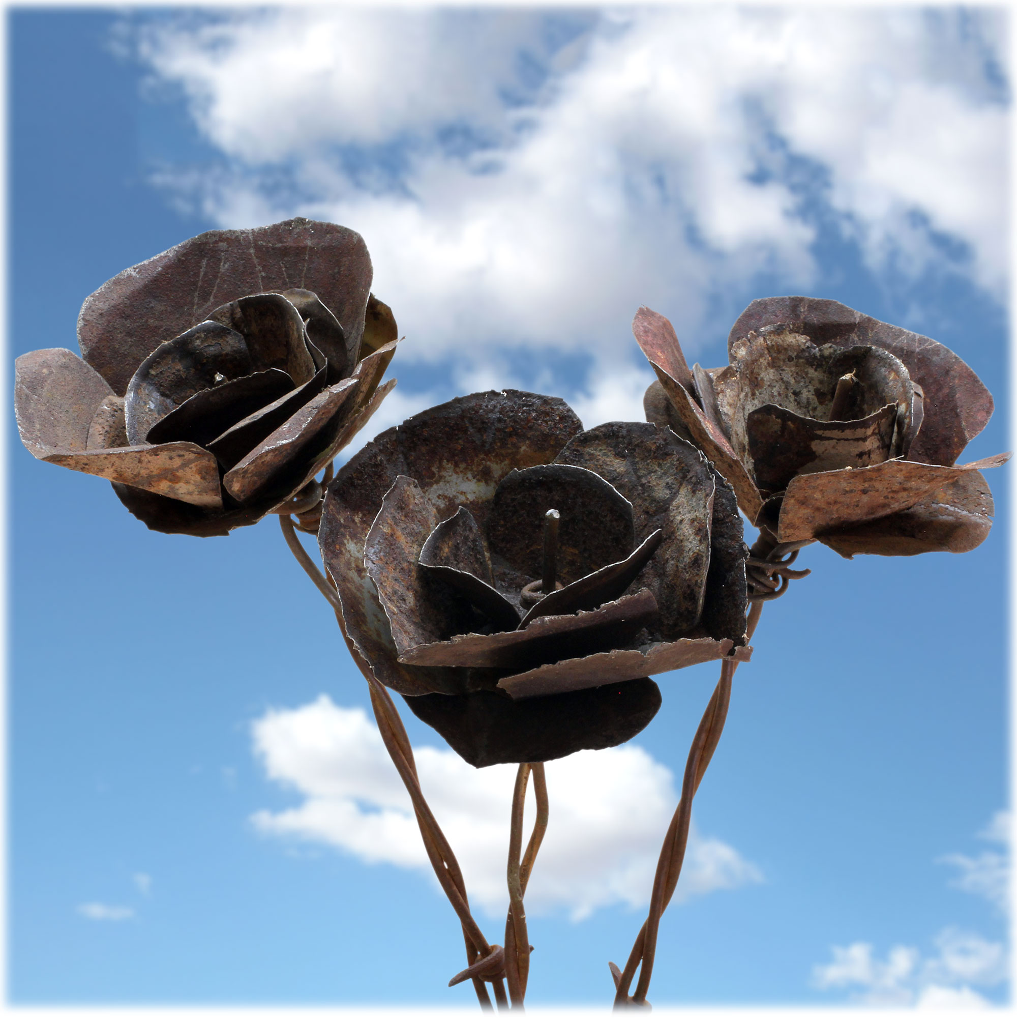 Desert Flowers Bouquet of 3